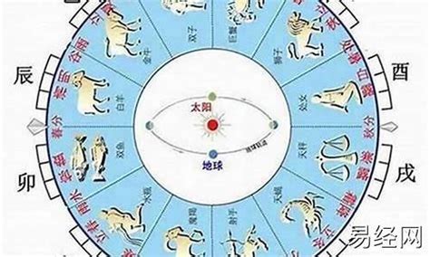 1963年生肖五行|1963年五行属什么？解读兔年命理特点及运势分析